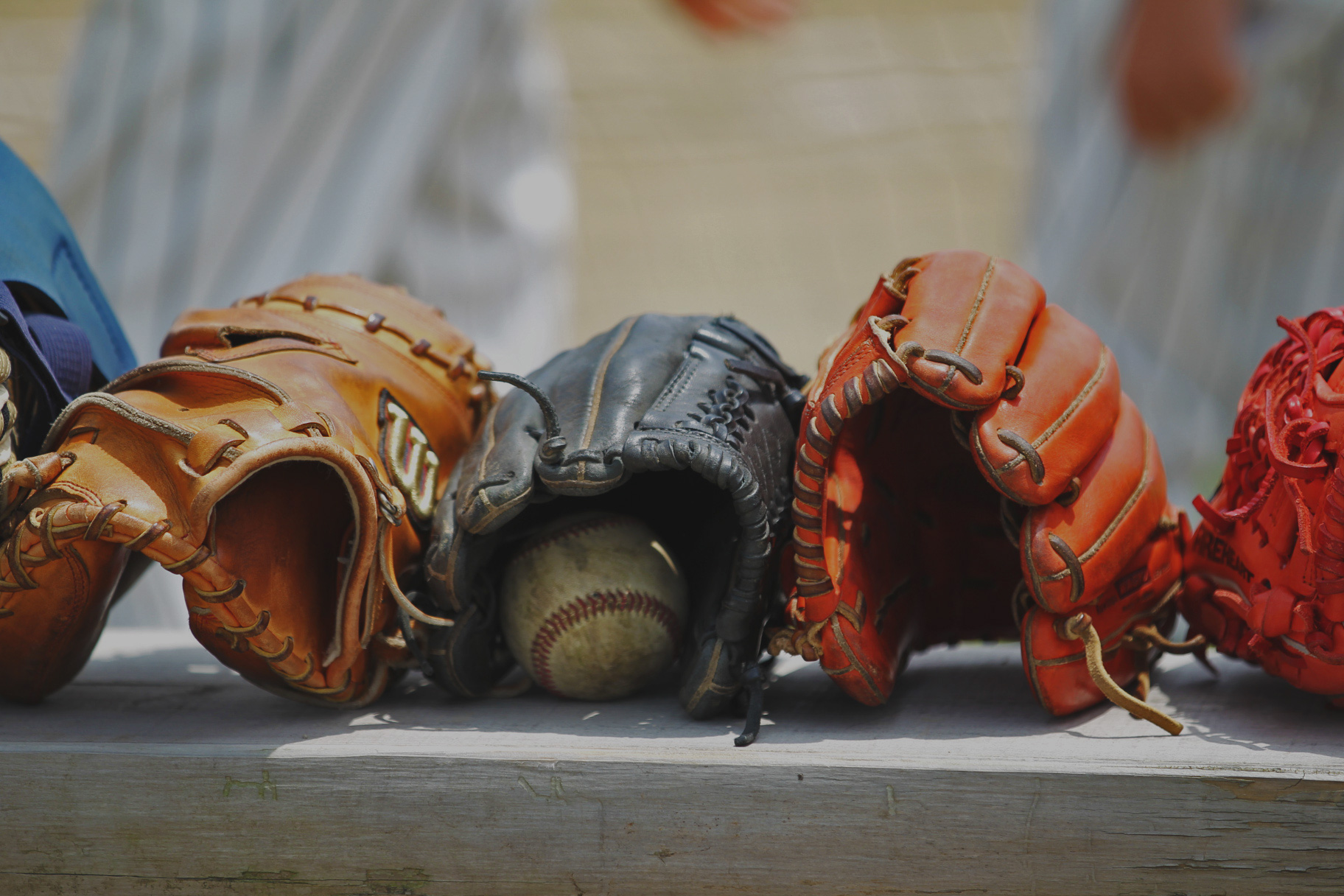 3種類のグローブの画像